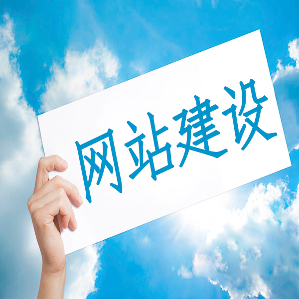网站建设_建设大型视频网站需要的资金量_自己如何建设外贸网站建站