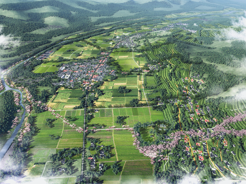 广东省石油化工建设集团公司网站_网站建设_大型 网站 建设 公司