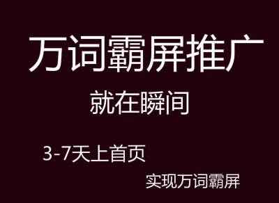 网站制作_在线制作举牌照网站_制作卖东西网站
