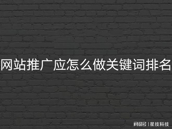 seo引擎优化是什么_搜索引擎优化_成都搜索优化整站优化