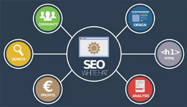 seo如何优化一个网seo_seo站内优化?seo站内锚文本要怎么优化_seo优化
