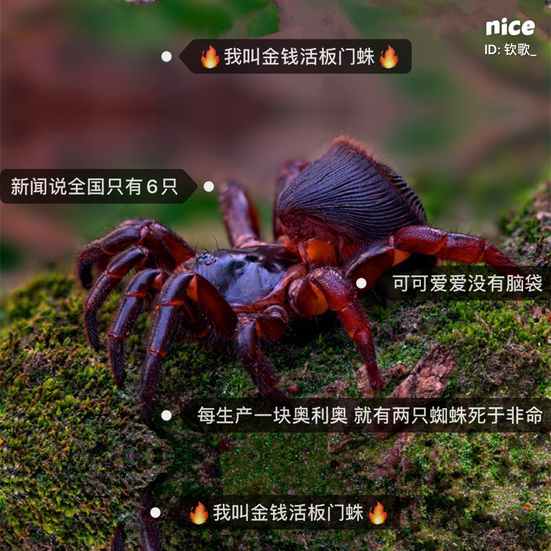 广州网站整广州网站整站优化站优化_网站关键字优化_网站优化