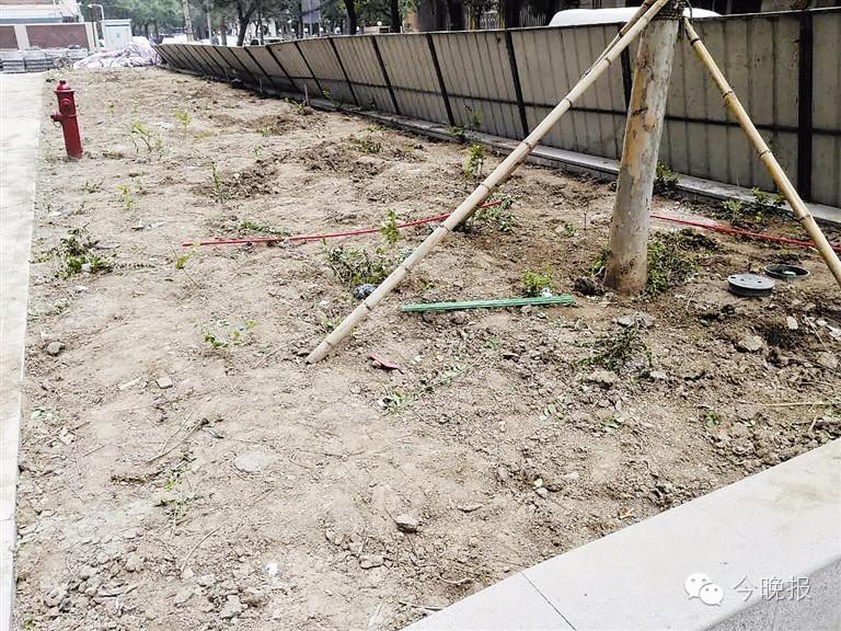 中国联通固定电话号段_联通固定电话查询号码_中国联通固定电话