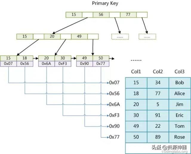 sql查询结果增加空列_sql查询增加一列_sql查询增加空列