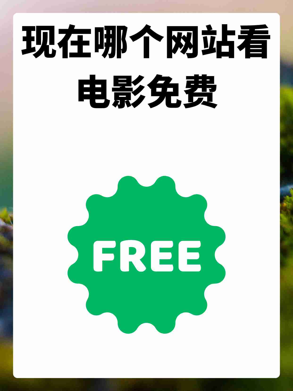 放到网站软件上怎么弄_网站或者软件_怎么把软件放到网站上