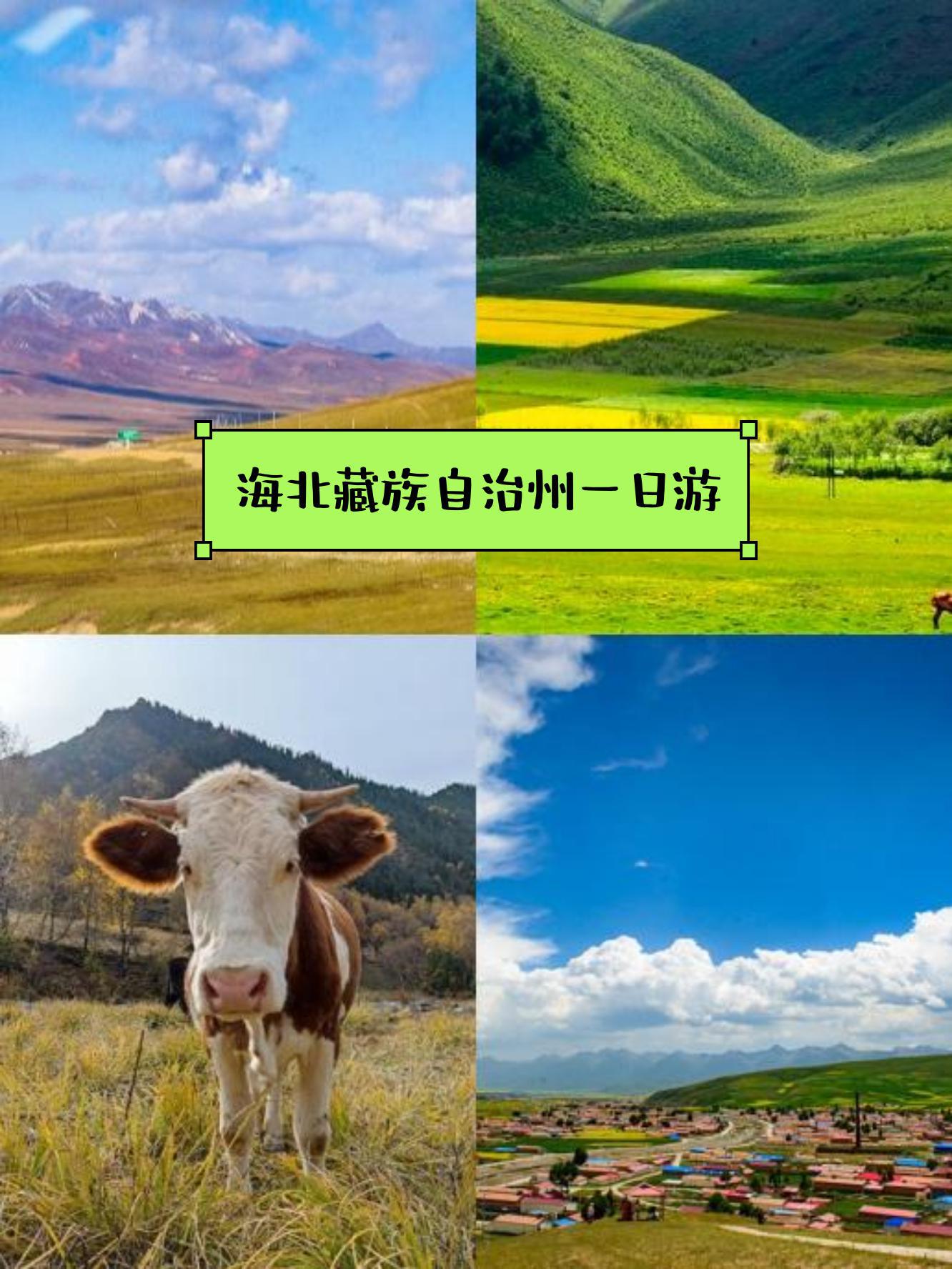 越南漫游上网费卡手机有流量吗_越南手机上网卡有漫游费_越南手机卡开通漫游