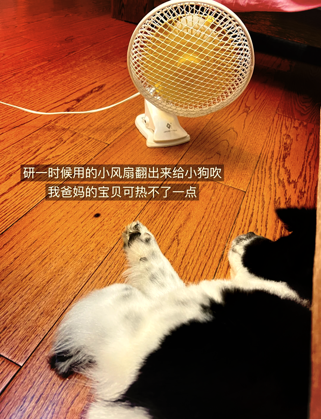 电脑路由器设置网站_设置完路由器电脑连不上网_电脑路由器上网设置怎么设置
