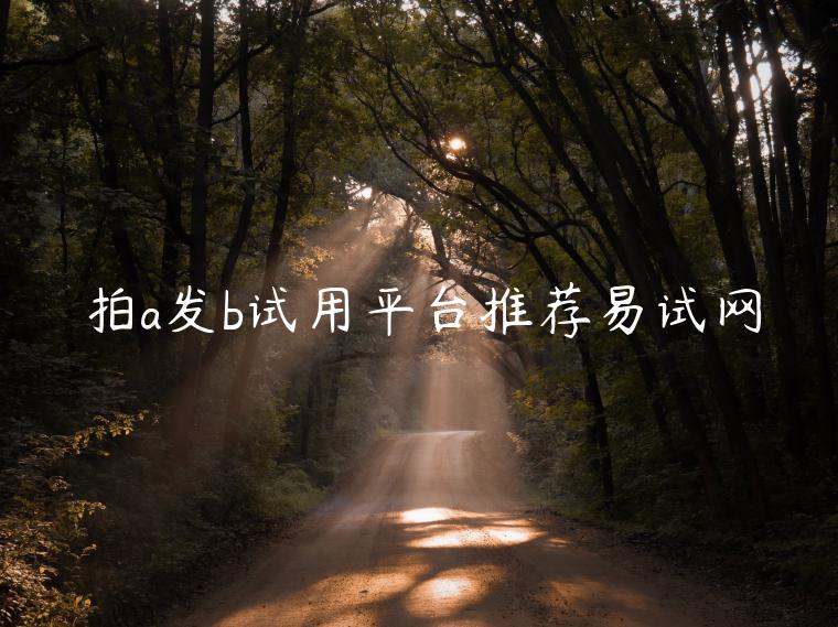拍a发b试用平台推荐易试网