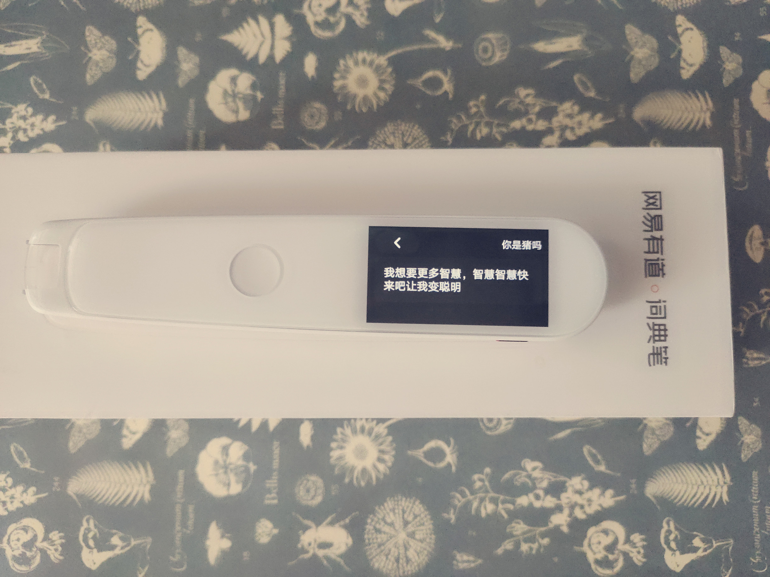 有道翻译整个网页_有道翻译如何翻译网页插件下载_有道网页翻译2.0怎么用