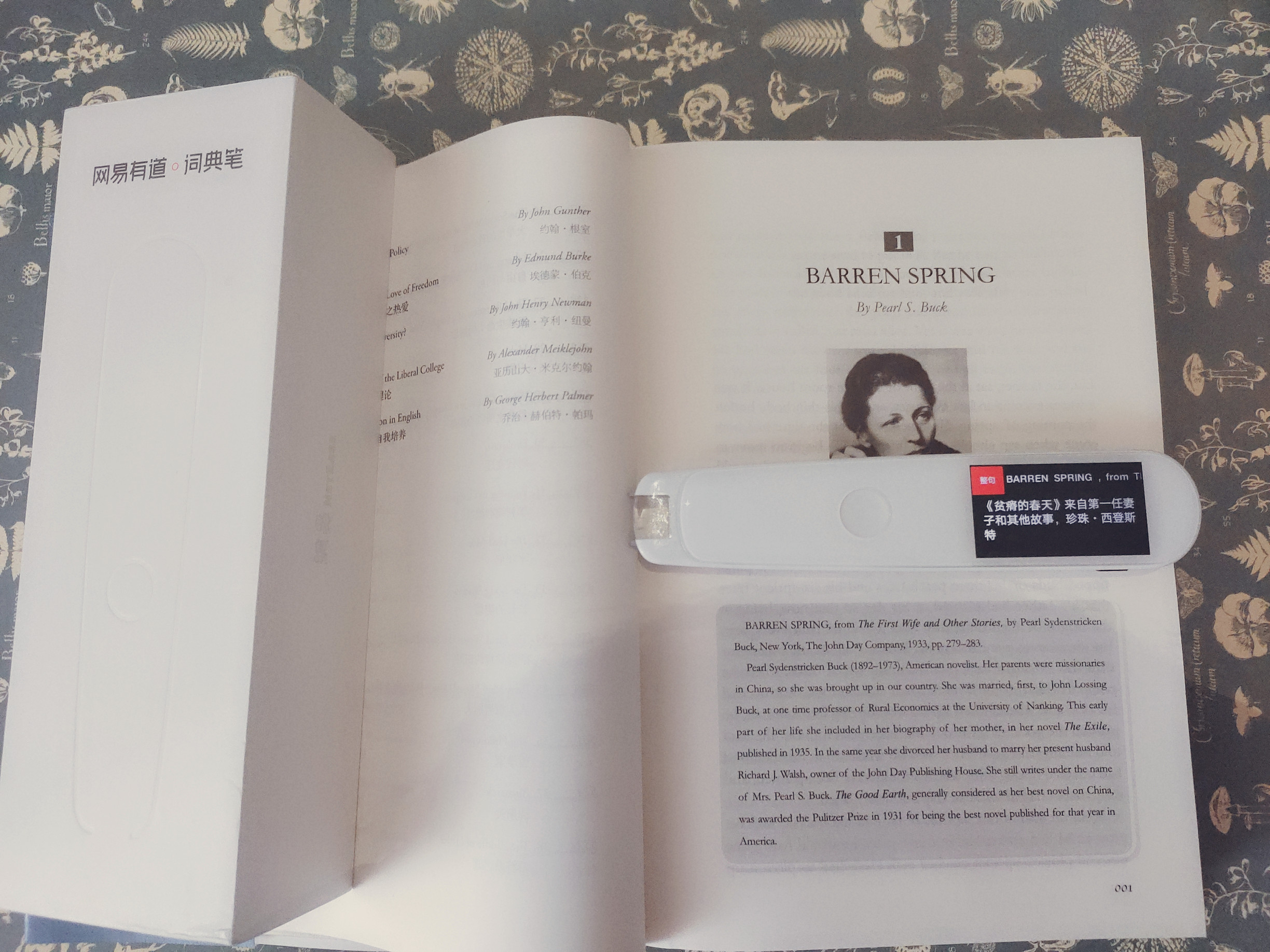 有道翻译整个网页_有道翻译如何翻译网页插件下载_有道网页翻译2.0怎么用
