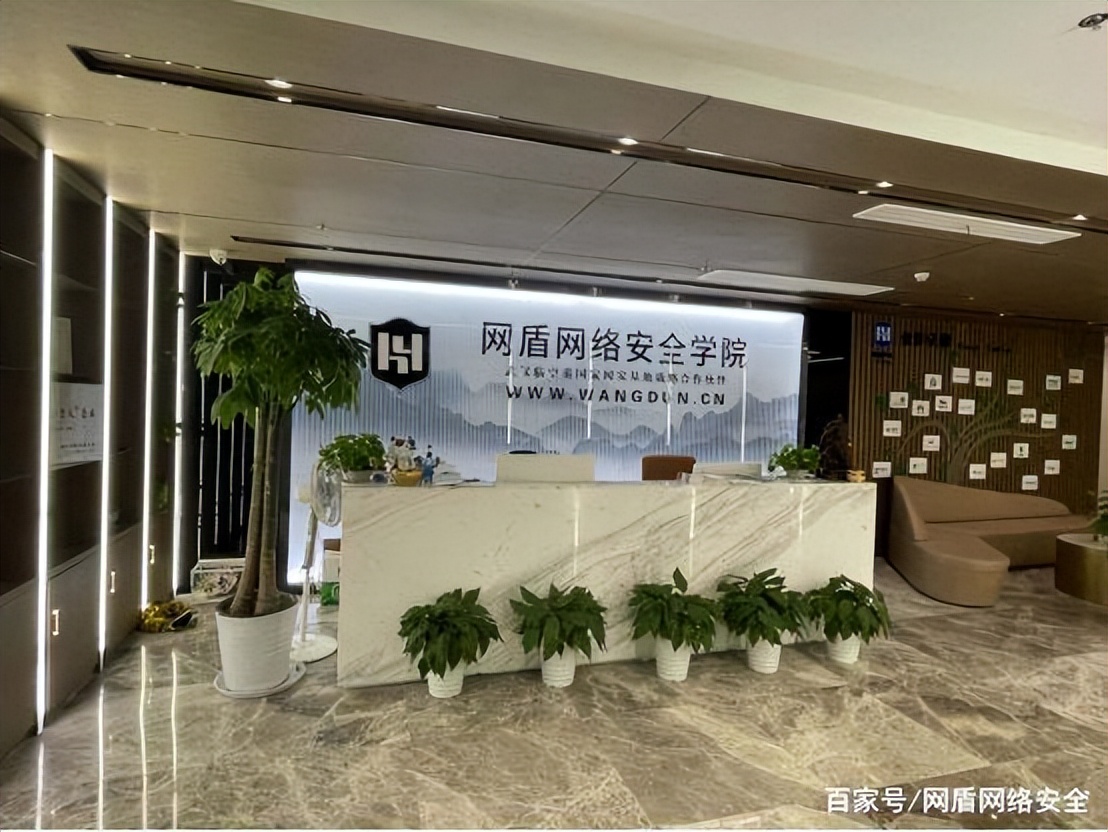 小白的选择主要内容_小白的选择作者是谁_小白的选择主要讲了什么
