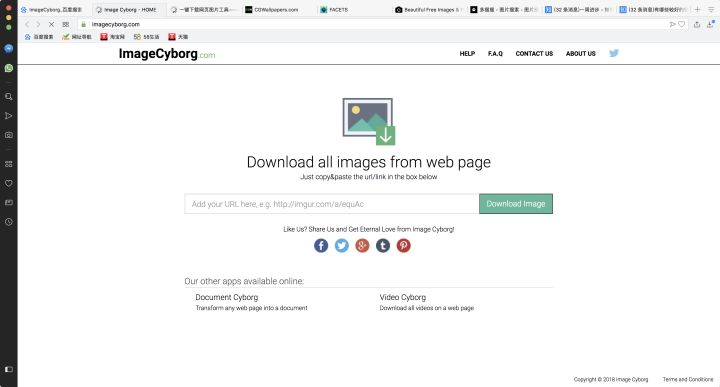 网页上自动翻译_翻译能网页自动翻译吗_能自动翻译网页的