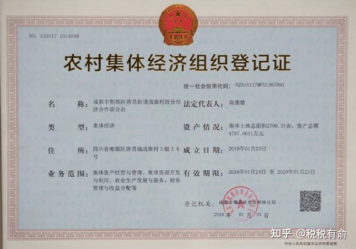 组织机构代码有字母吗_简述字母代码的作用_什么是字母代码
