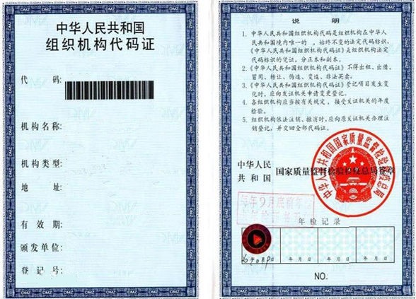 组织机构代码有字母吗_字母代码主要有_什么是字母代码