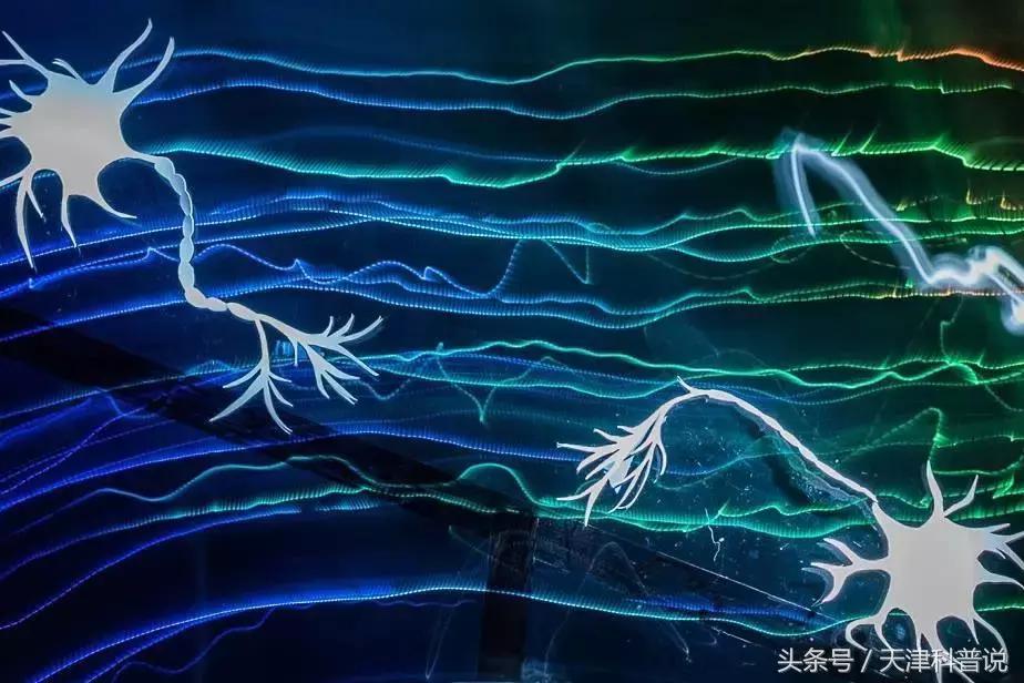信息编码中编码是指_编码信息属于什么类信息_什么是信息编码