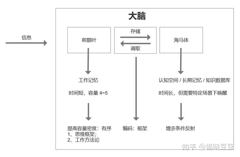 编码信息属于什么类信息_信息编码中编码是指_什么是信息编码