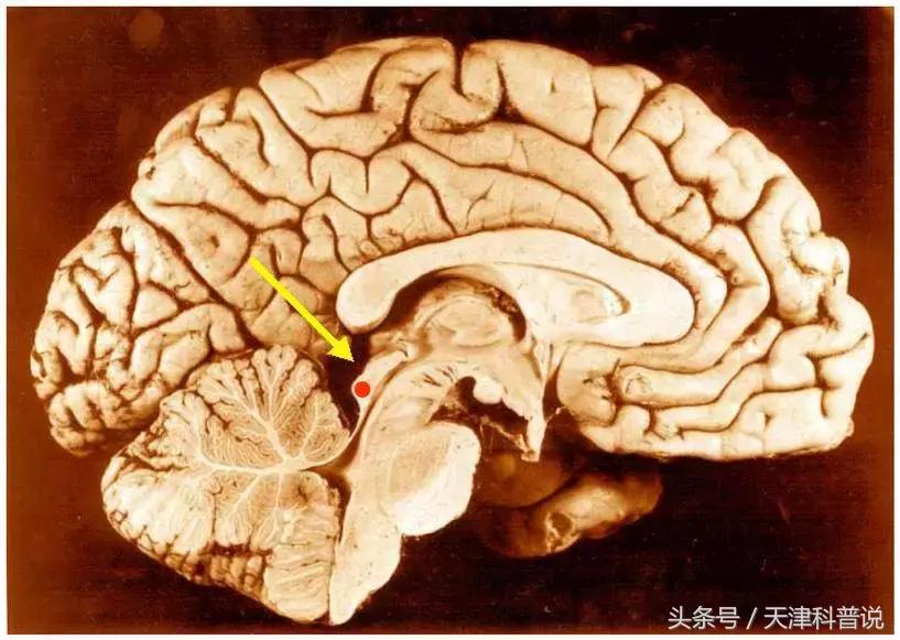 编码信息属于什么类信息_什么是信息编码_信息编码中编码是指