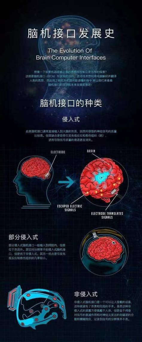 信息编码中编码是指_编码信息属于什么类信息_什么是信息编码