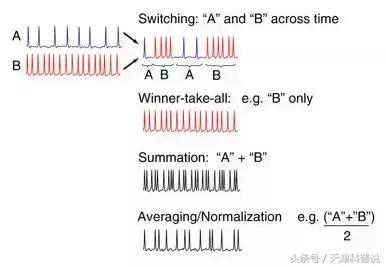 编码信息属于什么类信息_什么是信息编码_信息编码中编码是指
