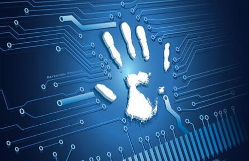 员工信息采集表做什么_采集员工个人信息怎么通知_员工个人信息采集表有什么用