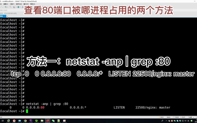 linux通过端口查看进程_linux根据端口号查看进程_根据端口号查进程linux