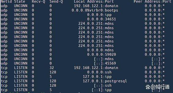 linux根据端口号查看进程_根据端口号查进程linux_linux通过端口查看进程