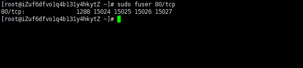 linux通过端口查看进程_根据端口号查进程linux_linux根据端口号查看进程