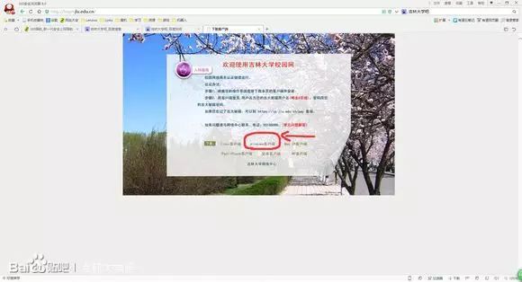本地连接没有ip配置_本地连接没有ip地址_ipconfig没有本地连接