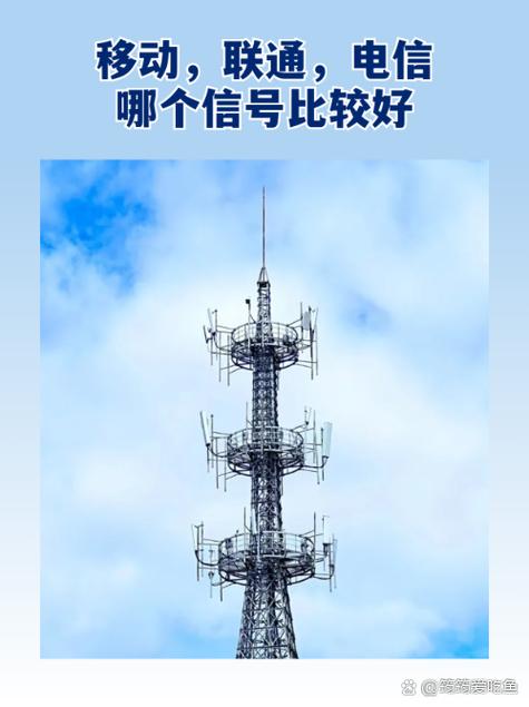 移动电话卡品牌怎么看_移动手机卡品牌查询_如何查看移动卡品牌