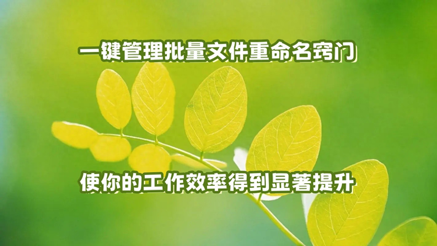 批量改名软件怎么用_文件批量改名工具v2.0_批量改名工具文件v20