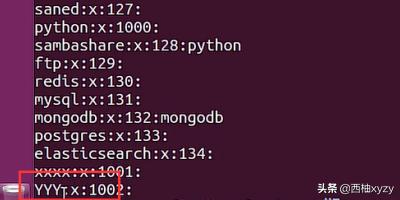 进入用户主目录的命令是_linux进入当前用户的主目录_进入当前目录的命令