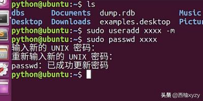 linux进入当前用户的主目录_进入当前目录的命令_进入用户主目录的命令是
