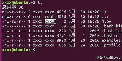 linux进入当前用户的主目录_进入当前目录的命令_进入用户主目录的命令是