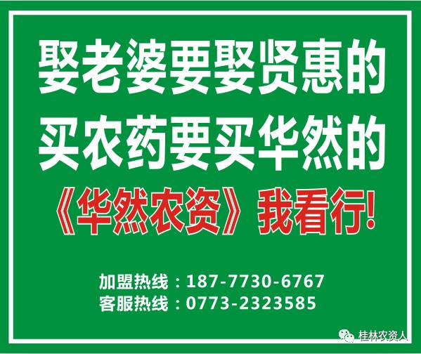 电信号虚拟号段_电信手机卡虚拟号_电信177是虚拟手机号吗