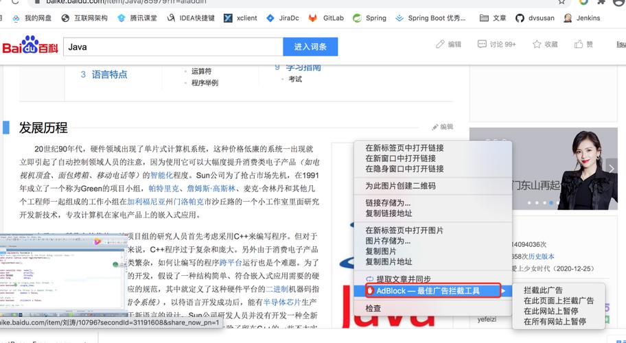 谷歌游览器无法访问_无法访问谷歌浏览器怎么办_谷歌浏览器无法访问