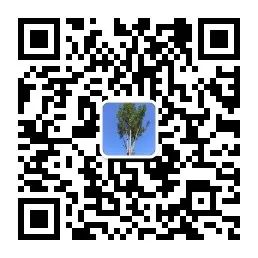 网站图片加载失败怎么办_网站图片加载不出来怎么办_网页图片加载失败的图片