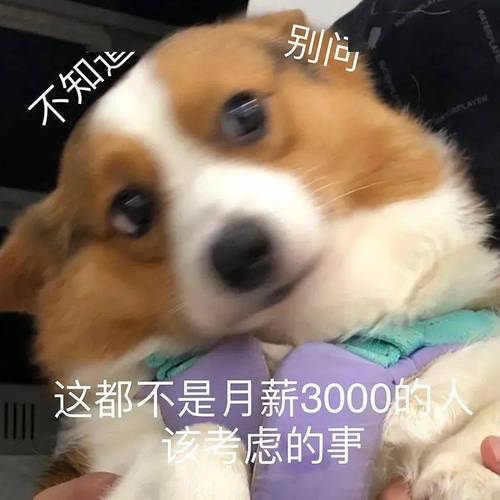 做网页工资高吗_工资能网页拿设计工资吗_网页设计能拿多少工资