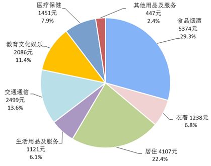 机器人图片服务员_性服务机器人图片_服务机器人长什么样