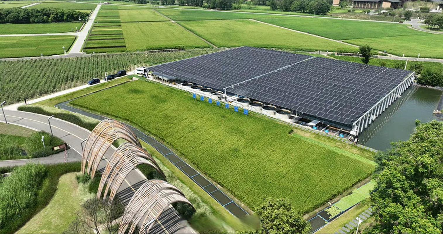 四川电力交易中心交易平台_四川省电力交易中心电话_四川电力交易平台网址