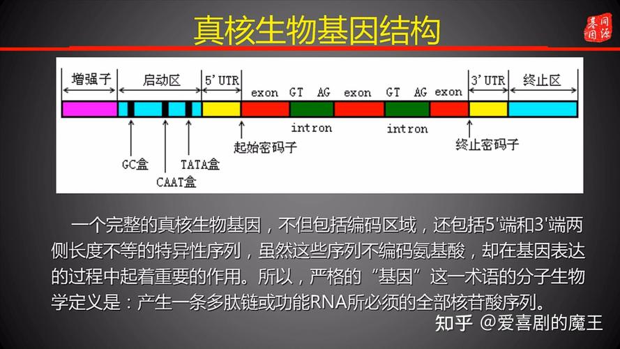 识别能库格式数据的方法有_识别能库格式数据的软件_不能识别的数据库格式