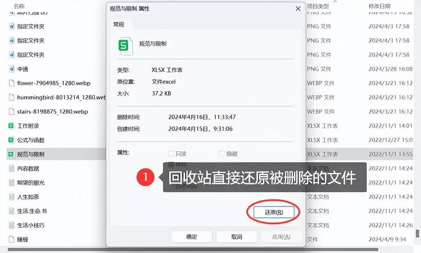 删除回收站文件就是永久删除吗_删除文件回收站没有_删除文件回收站里没有