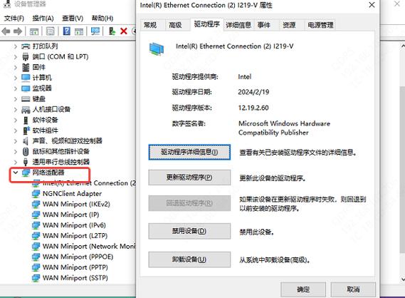 图形适配器驱动下载_图形适配器驱动下载不了_图形适配器驱动程序