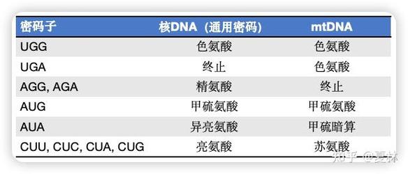 密码子为什么有偏好性_密码子偏好性的意义_偏好设置密码是几位