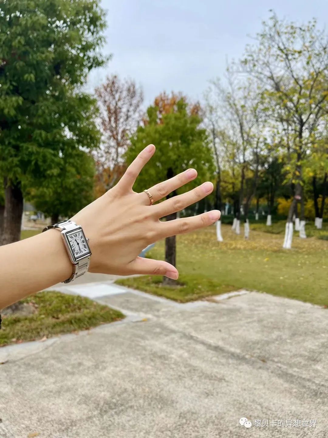 越洋电话加什么编号会便宜_越洋电话加什么编号会便宜_越洋电话加什么编号会便宜