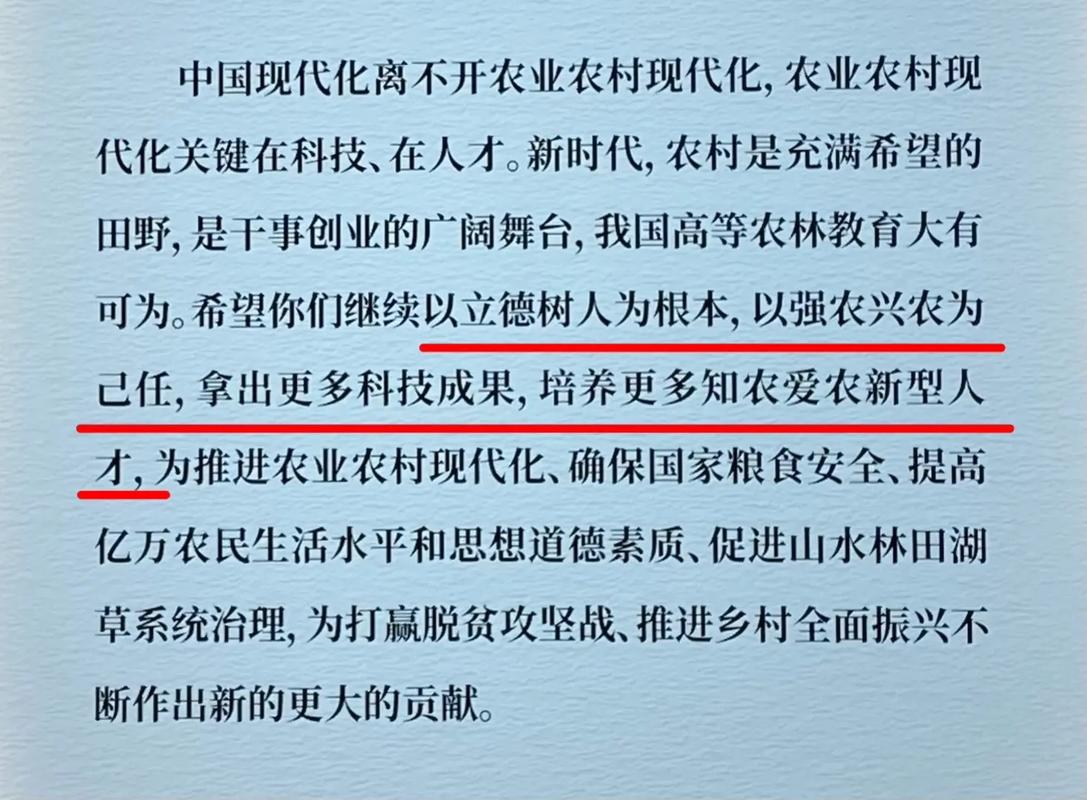 淘宝代写程序一般多少钱_淘宝程序代写靠谱吗_淘宝上代写程序价格