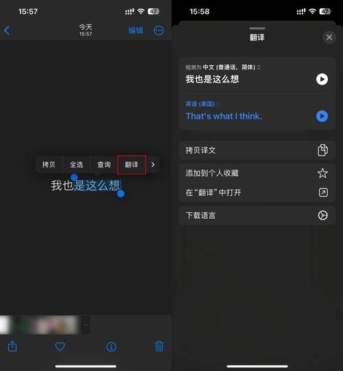 手机自动翻译器下载_手机自动翻译的软件_手机版自动翻译