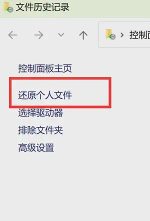 删除的文件回收站没有_删除文件回收站里没有_回收站里的文件删除了