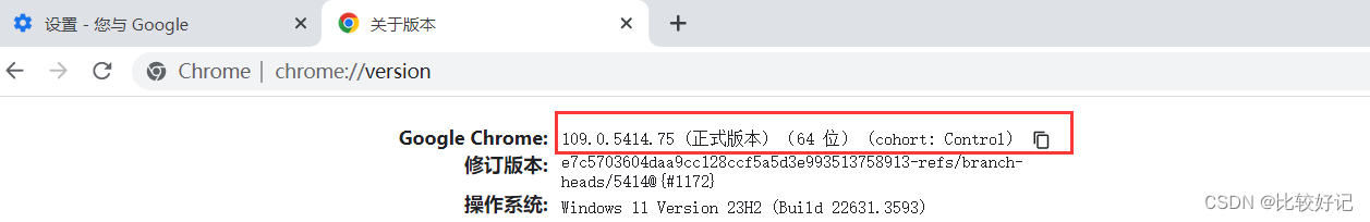 谷歌浏览器设置里没有flash_谷歌浏览器没有页面_谷歌浏览器怎么没有菜单栏