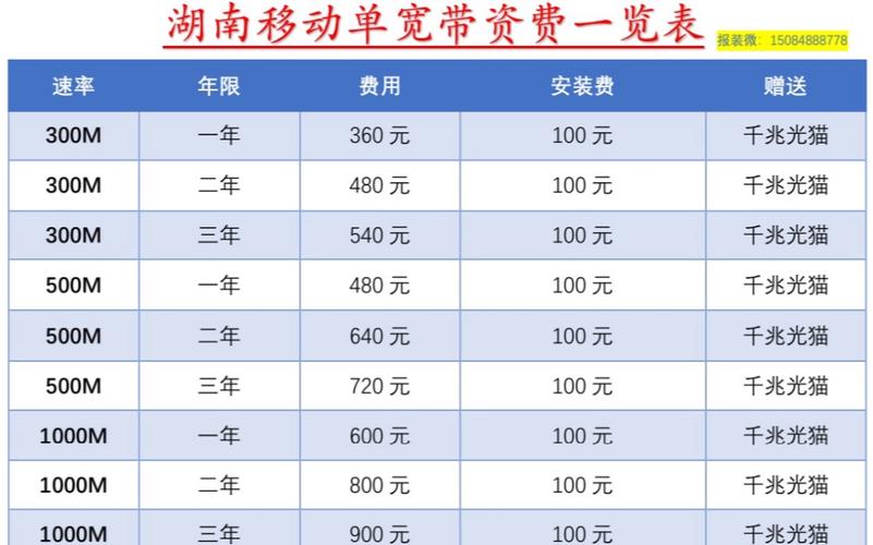 套餐移动网络有什么用_移动电话网络套餐_移动网络套餐有哪些