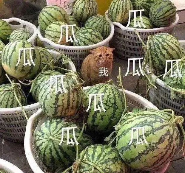 地下城魔王养成日志无弹窗_我真是大明星无弹窗全文阅读_明星养成系统无弹窗